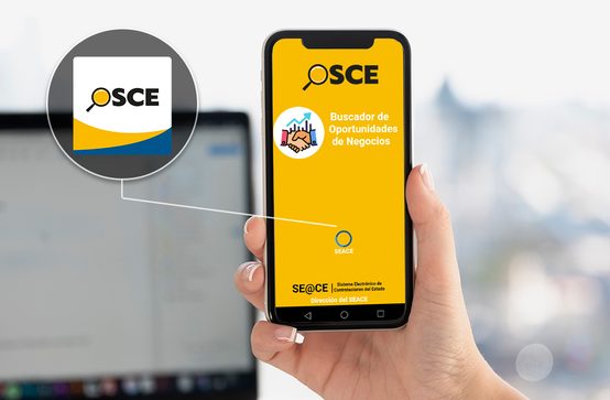 ¿Cómo buscar y acceder a las oportunidades de negocio con el Estado?